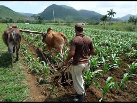 Día del Agricultor | RESEFOP