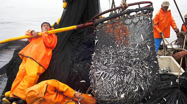 16 de febrero - Día del Trabajador de la Pesca Industrial